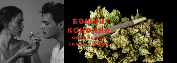 ECSTASY Каменка