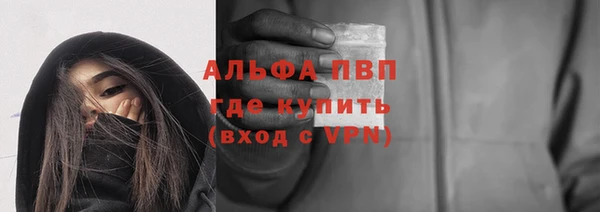 ECSTASY Каменка