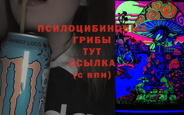 мет Каменск-Шахтинский