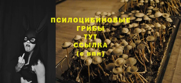 мет Каменск-Шахтинский