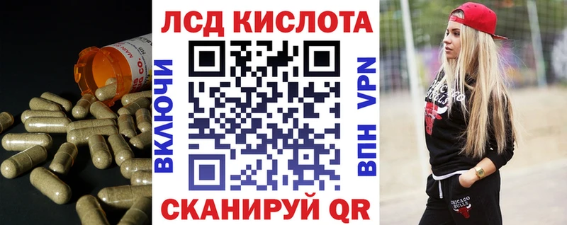 ОМГ ОМГ вход  Каменногорск  Лсд 25 экстази ecstasy 
