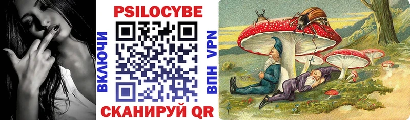 где можно купить наркотик  Каменногорск  Галлюциногенные грибы Cubensis 